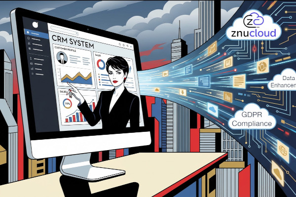 Znu CRM-Datendiagnose-Dashboard